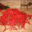 Cayenne Peppers